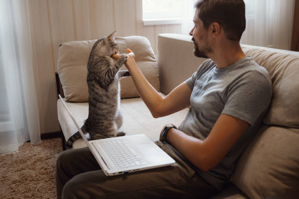 istock Young attractive smiling guy is browsing at his laptop 1284955952
