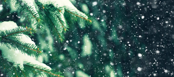 istock Christmas Background with Holiday Fir Tree and Falling Snow 1284956118