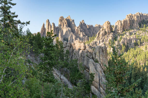 istock Black Hills of South Dakota 1284959674