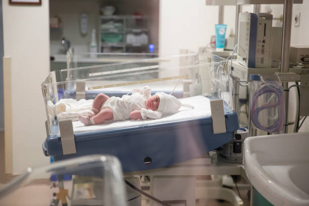 newborn baby girl, doctor cutting baby's umbilical cord, babygirl at hospital - hospital nursery imagens e fotografias de stock