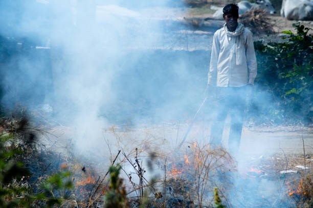 fotografii de stoc, fotografii și imagini scutite de redevențe cu arderea focului arde gunoiul și multe altele într-un câmp și pe o parte a drumului, provocând poluare și degradarea calității aerului, deoarece un om vine să taie mai multă miriște și să o adauge la foc - mirişte
