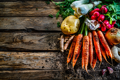 Healthy food backgrounds: multicolored fresh organic root vegetables shot from above on rustic wooden table. Root vegetables included in the composition are carrots, radish, onion, potatoes, garlic, ginger and turmeric. Some dirt is visible under the vegetables. The composition is at the right of an horizontal frame leaving useful copy space for text and/or logo at the left. High resolution 42Mp studio digital capture taken with SONY A7rII and Zeiss Batis 40mm F2.0 CF lens