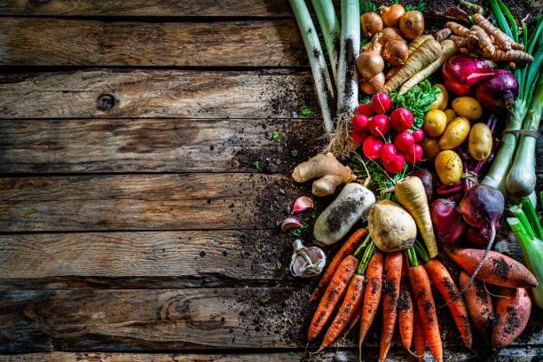 istock Healthy fresh organic root vegetables on rustic wooden table. Copy space 1284969326
