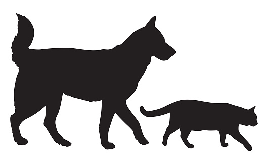 Vector silhouette of a dog and a cat walking together.