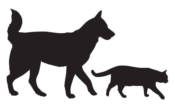 Dog And Cat Walking Together Vector silhouette of a dog and a cat walking together. mixed breed dog stock illustrations