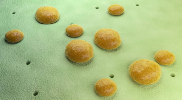Imagem gratuita: digitalização, micrografia eletrônica, streptococcus ...