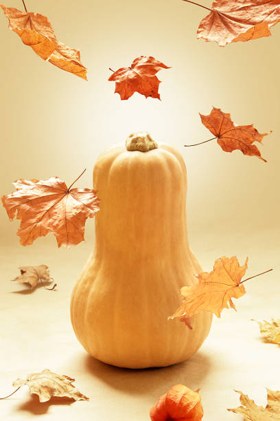 istock Honey pumpkin on a beige background with falling autumn leaves. 1284974360