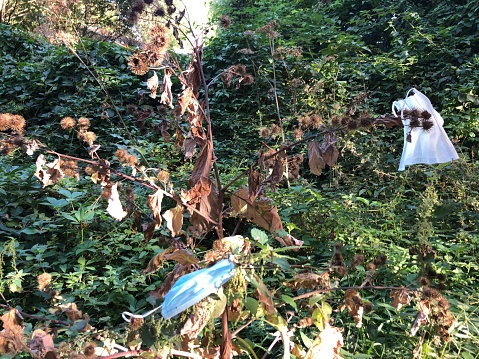 Mouth and nose masks carelessly thrown away in nature