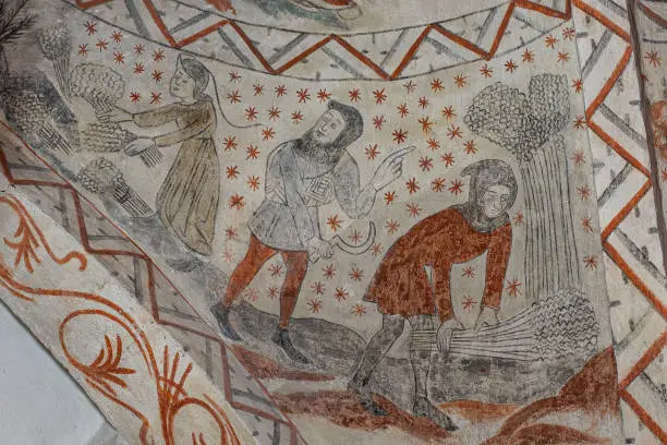 harvesting the self-growing corn, a medieval legend on a wall-painting in Tuse church, Denmark, July 16, 2020