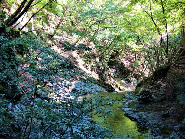 istock Japan. October. Mountain river In Nikko National Park. 1284976824