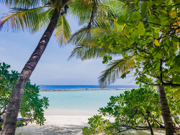istock Indian ocean on Maldives 1284977027