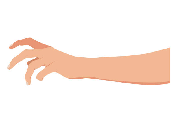 ilustrações de stock, clip art, desenhos animados e ícones de grabbing hand. picking hand. grab gesture. vector illustration. flat design eps - human hand reaching human arm gripping