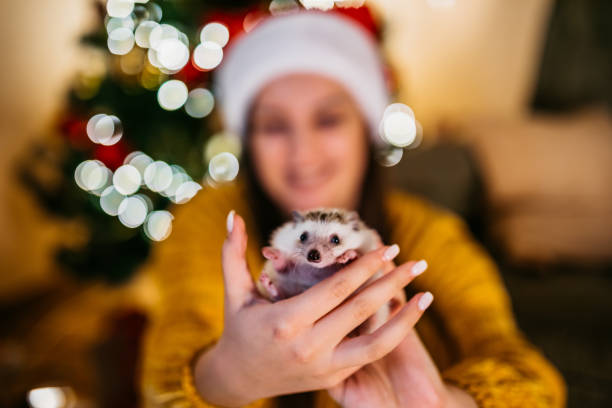 istock Woman and her hedgehog at Christmas 1284979226