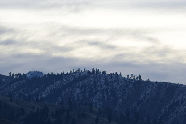 далекий хребет, покрытый снегом незадолго до восхода солнца - tree leavenworth snow sky стоковые фото и изображения