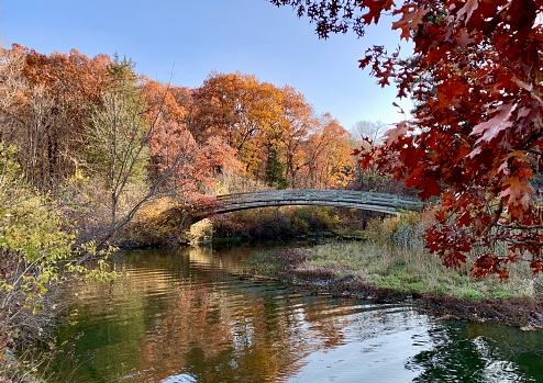 Autumn landscape with lake, trees and colorful leaves in the park