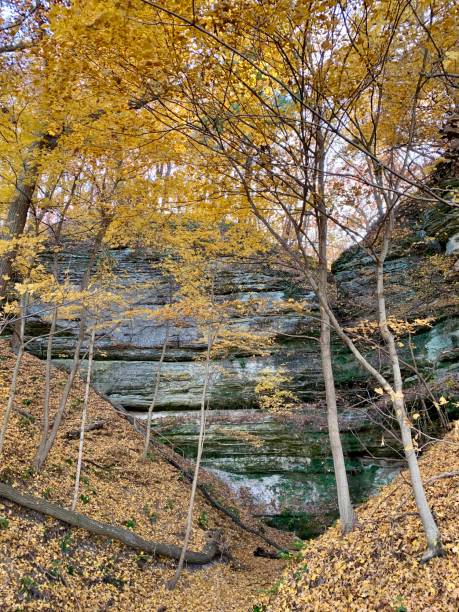 istock Fall in Starved Rock State Park in Illinois, USA 1284982244