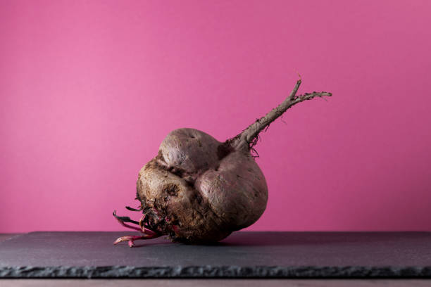 Ugly beetroot on a pink background, close-up. Vegetables of unusual shape, reduction of food organic waste Ugly beetroot on a pink background, close-up. Vegetables of unusual shape, reduction of food organic waste. ugly soup stock pictures, royalty-free photos & images