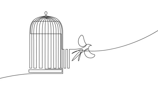 Bird released from birdcage Bird released from birdcage in continuous line art drawing style. Bird flying away from open cage. Rescue, freedom and new opportunities. Minimalist black linear sketch isolated on white background prison illustrations stock illustrations