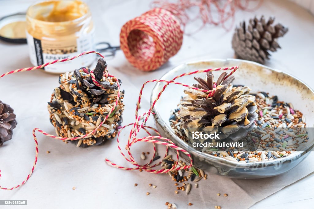 Making nature friendly bird feeders out of pine cones bird seed, peanut butter, pine cones and twine Bird Feeder Stock Photo