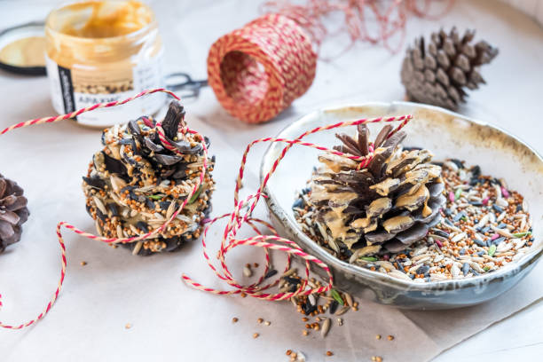 Making nature friendly bird feeders out of pine cones stock photo