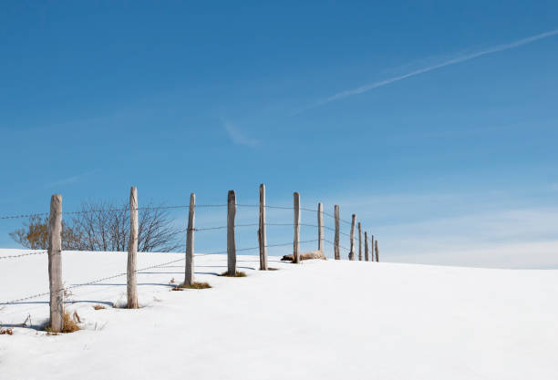 istock Snowy horizon with a fence 1284985464