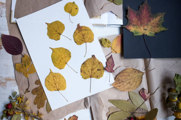 istock Arranging pressed colourful autumn leaves in a book 1284987900