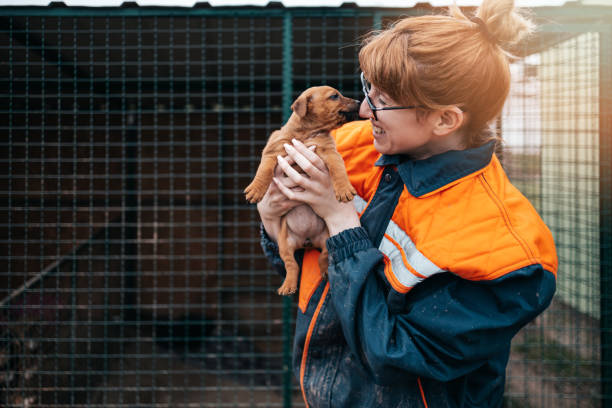 jeune femme dans le refuge d’animal - refuge pour animaux photos et images de collection