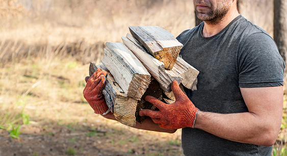 A strong unshaven brutal guy in grey t-short and orange work gloves, carries firewoods in the forrest