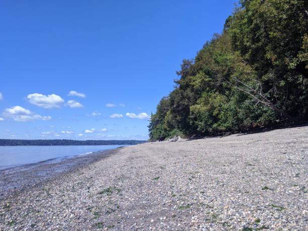 istock Joemma Beach State Park in Longbranch, WA, on a bright sunny day 1284990982