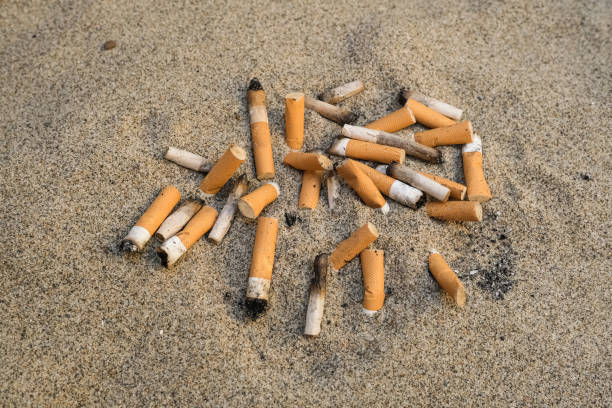 colillas de cigarrillos usadas desechadas en la playa de arena del mar, contaminación del hábitat del ecosistema - wild abandon fotografías e imágenes de stock