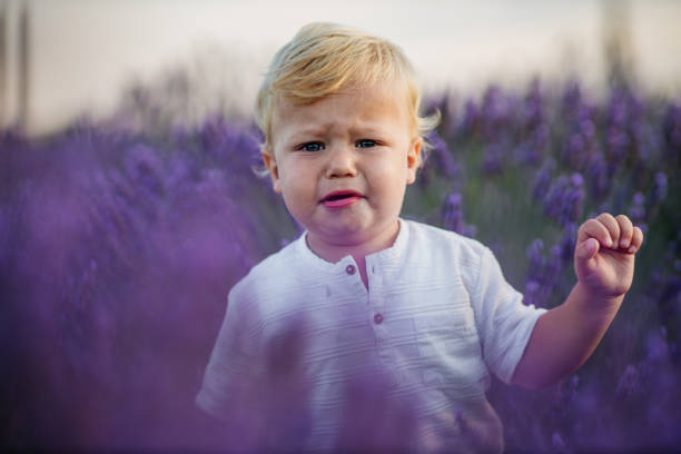 istock The scent of cuteness 1284995580