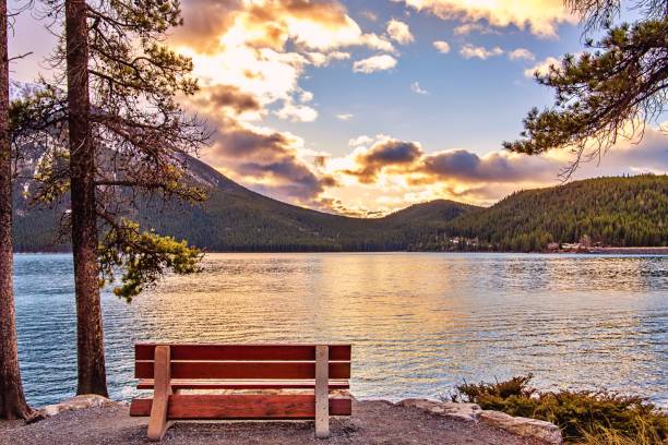 istock Bench Lookout At Sunrise Over Lake Minnewanka 1284996410