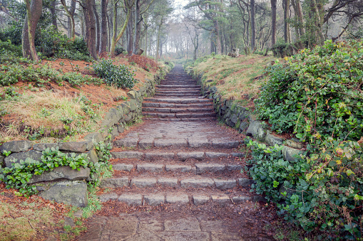 Pathways at Rivington Terraced Gardens near Bolton in Lancashire.