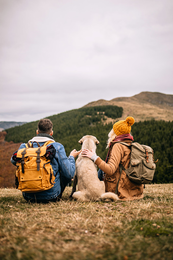 Young couple of hikers sitting on the mountain peak with their shepherd dog, watching the landscape together