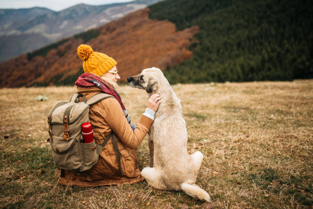 istock Hiker girl with backpack and her dog resting on mountain 1285000692