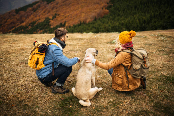 istock Taking a rest from hiking with dog 1285000753