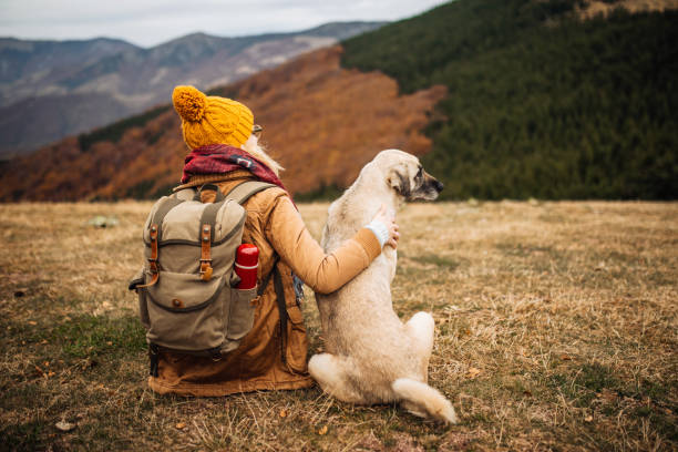 istock Hiker girl with backpack and her dog resting on mountain 1285000825