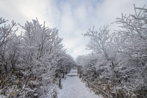 istock Snow scene of Kuju mountain range 1285006670