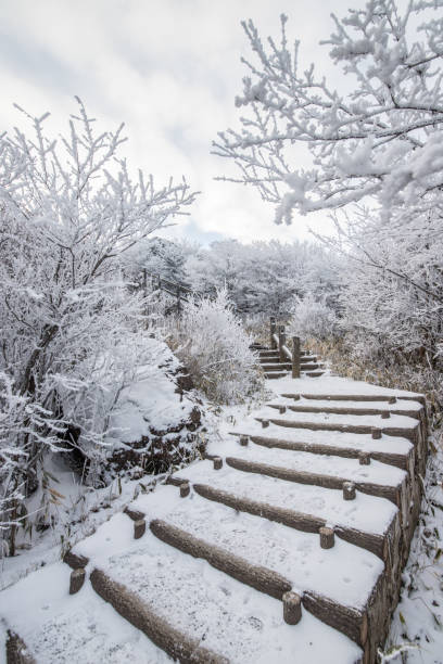 istock Snow scene of Kuju mountain range 1285006730
