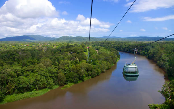 Skyrail Rainforest Cableway High-angle view of the gondola leading through the rainforest in Kuranda, Australia cairns australia photos stock pictures, royalty-free photos & images