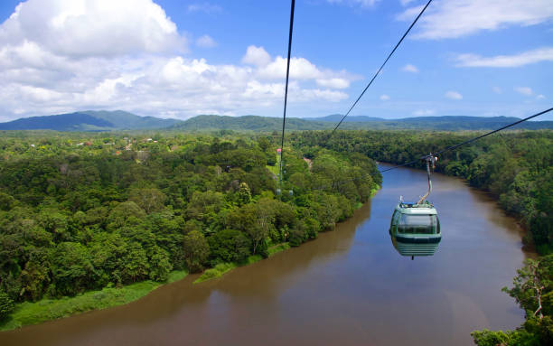 kolej kablowa skyrail rainforest - rainforest forest river australia zdjęcia i obrazy z banku zdjęć