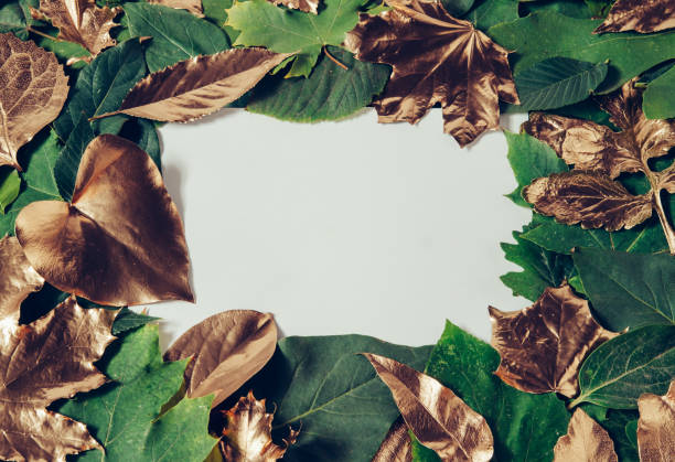 istock Gold and green leaves frame with paper card note 1285007097