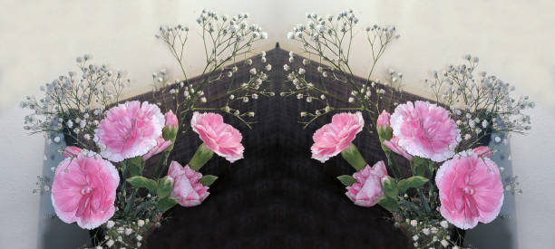 istock Pretty Pink Carnation and white Babies-Breath fresh cut real flower display. 1285007107
