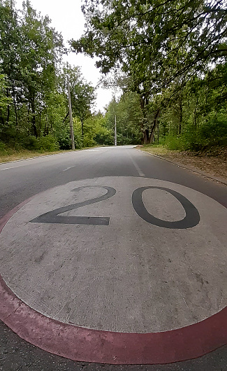 The park has a wide asphalt road with a 20 km speed limit painted on it. Stretched sign in perspective