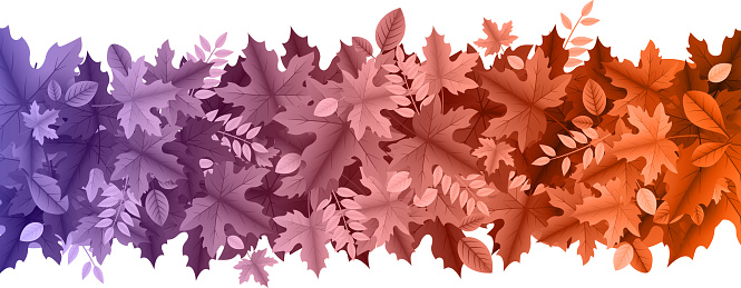 colorful autumn leaves background strip design