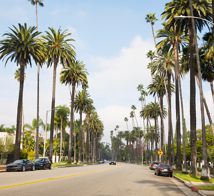 Beverly Drive, Beverly Hills, California