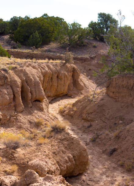 Southwest US Arroyo/Dry Wash