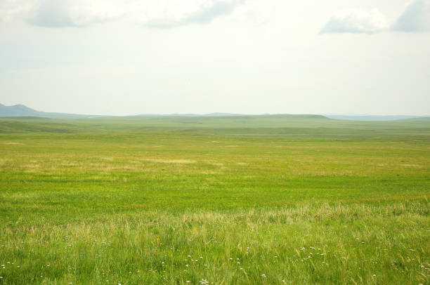 istock A large pasture in a steppe bathed in sunlight surrounded by high hills. 1285017734