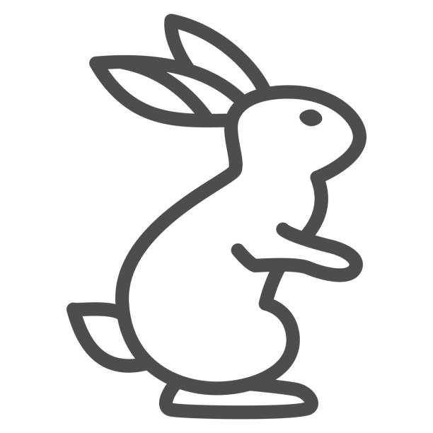 Hare line icon, wild animal concept, rabbit on back paws sign on white background, cute bunny from forest icon in outline style for web design. Vector graphics