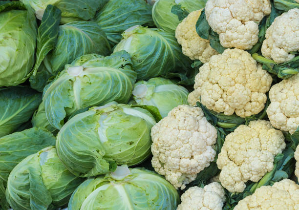 A pile of cabbage and cauliflower use for background